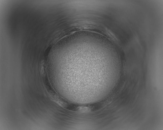 X0000073950169200609051802