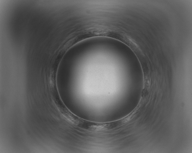 X0000073950170200609051802