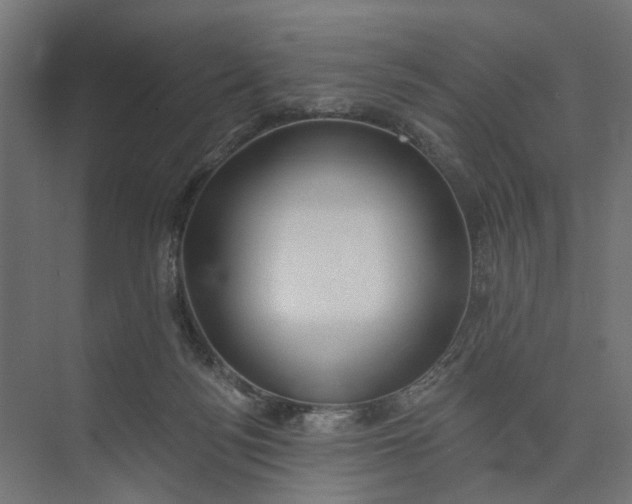 X0000073950172200609051802