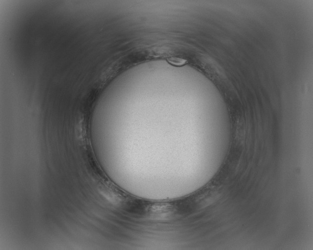 X0000073950173200609051802