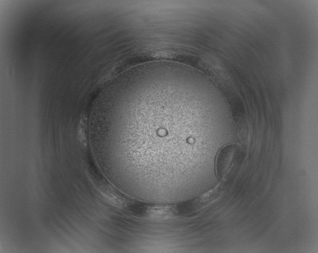 X0000073950175200609051802