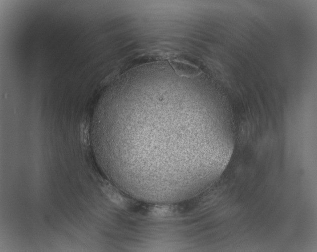 X0000073950177200609051802