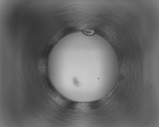 X0000073950179200609051802