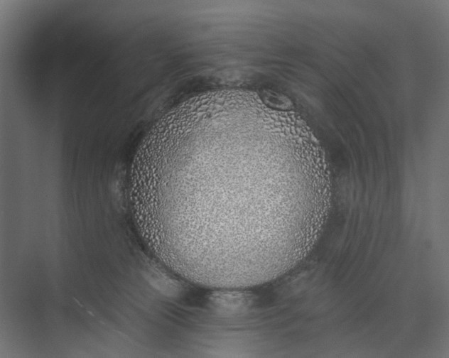 X0000073950181200609051802