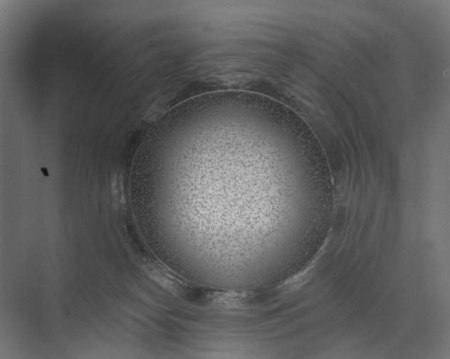 X0000073950182200609051802