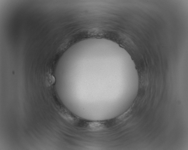 X0000073950183200609051802