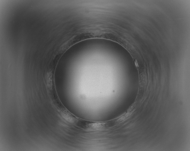 X0000073950184200609051802