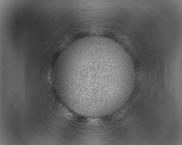 X0000073950185200609051802