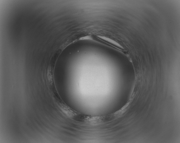 X0000073950186200609051802