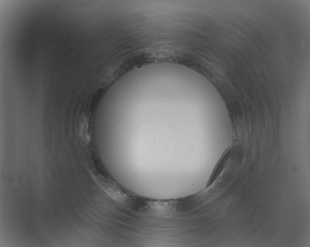 X0000073950187200609051802