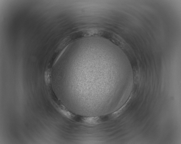 X0000073950191200609051802