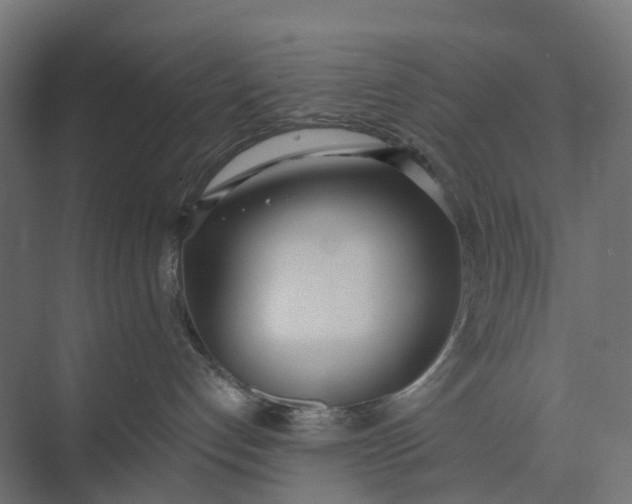 X0000073950192200609051802