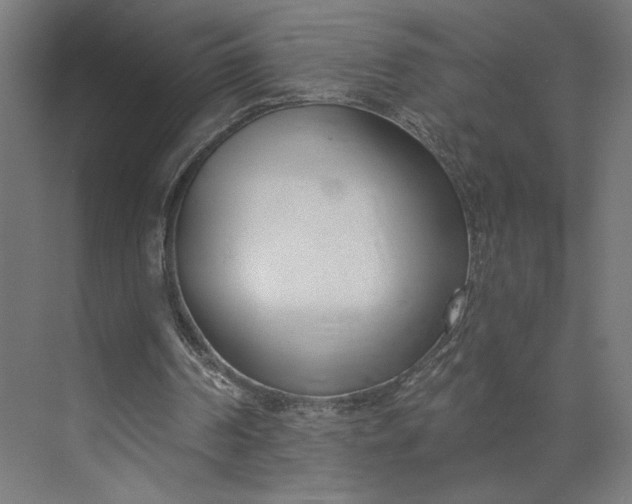 X0000073950194200609051801