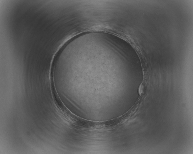 X0000073950196200609051801