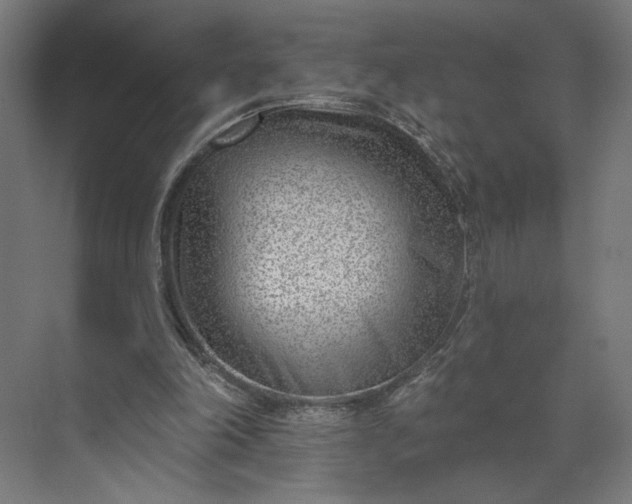 X0000073950198200609051801