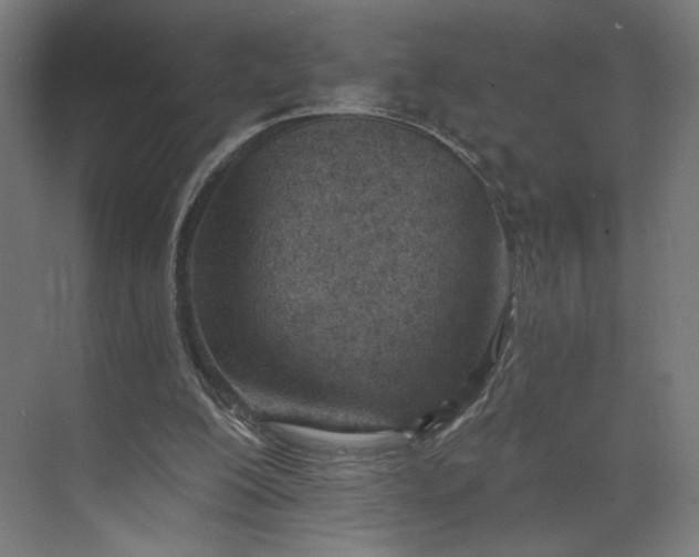 X0000073950200200609051801