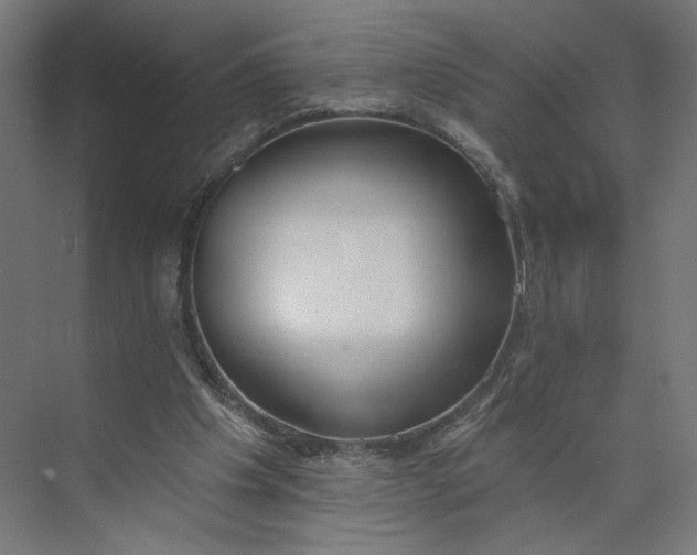 X0000073950201200609051801