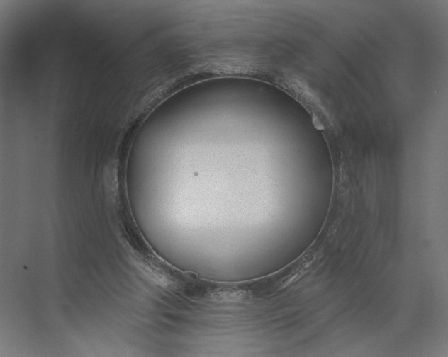 X0000073950202200609051801