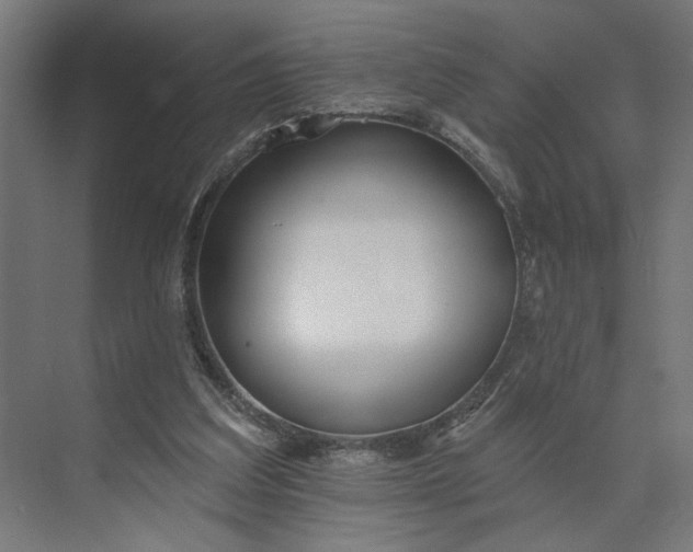 X0000073950203200609051801