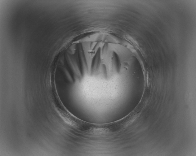 X0000073950205200609051801