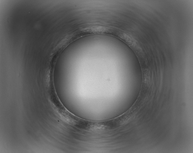 X0000073950206200609051801