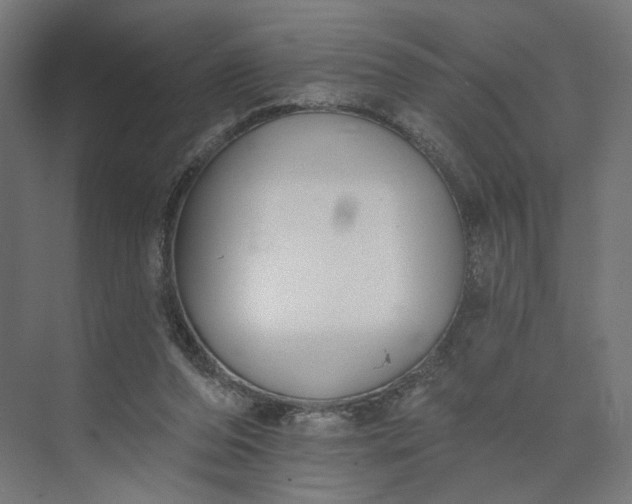 X0000073950208200609051801