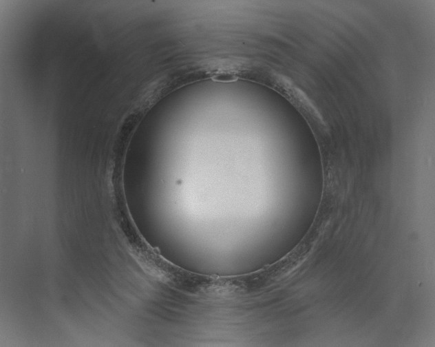 X0000073950209200609051801