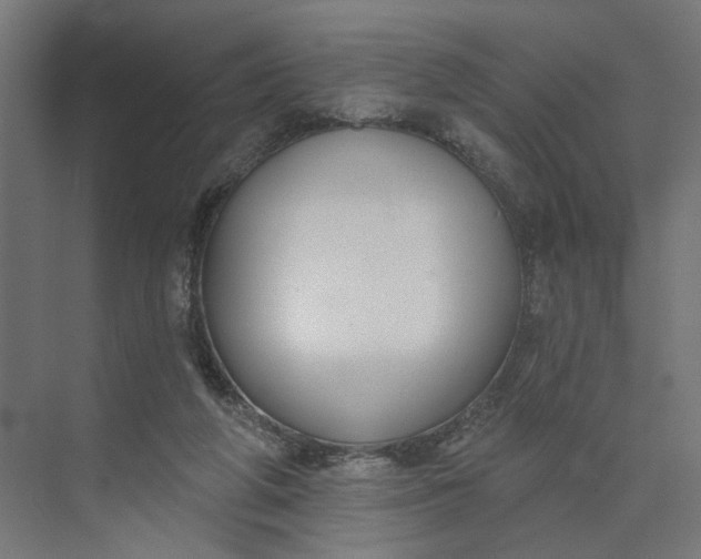 X0000073950210200609051801