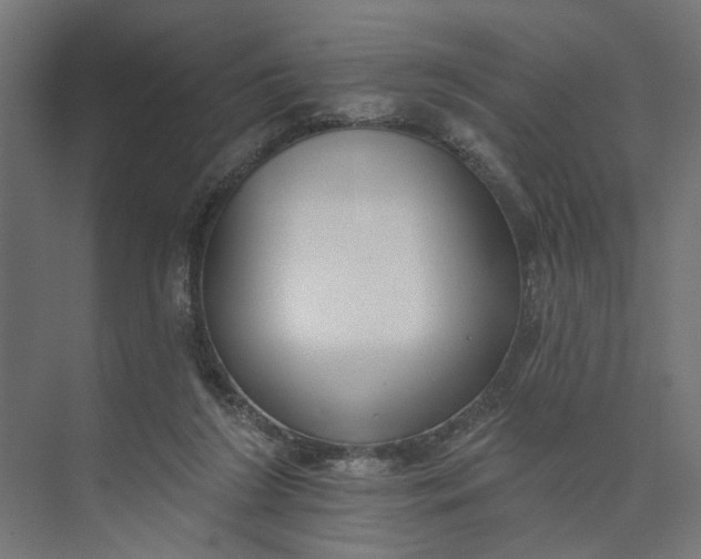 X0000073950212200609051801