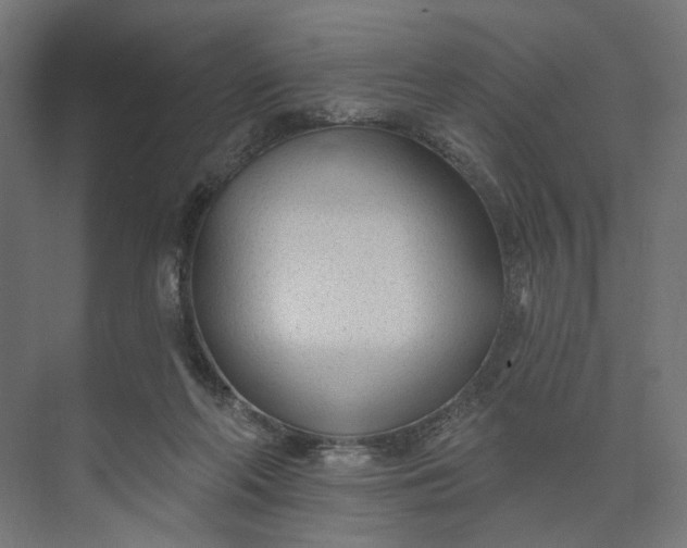 X0000073950214200609051801