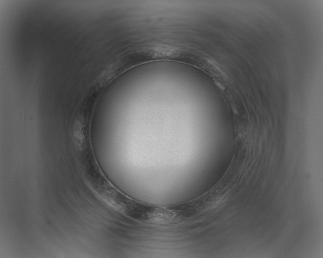 X0000073950215200609051801