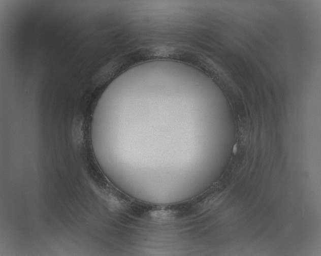 X0000073950216200609051801