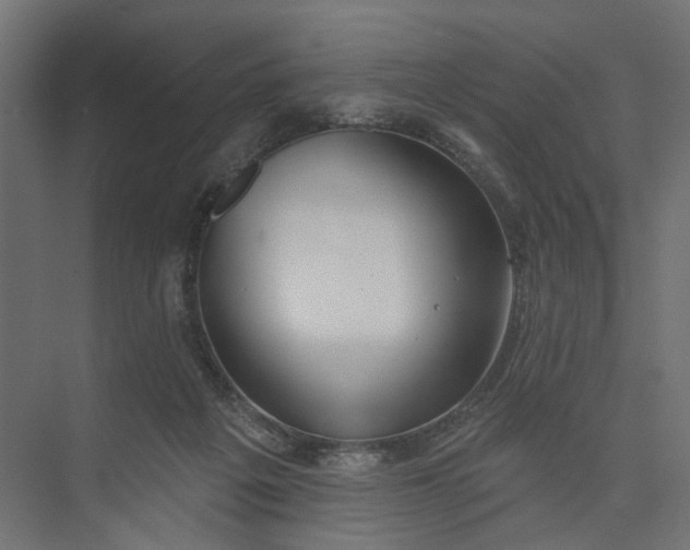 X0000073950217200609051801