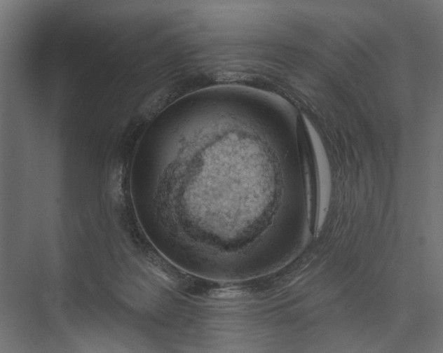 X0000073950219200609051801