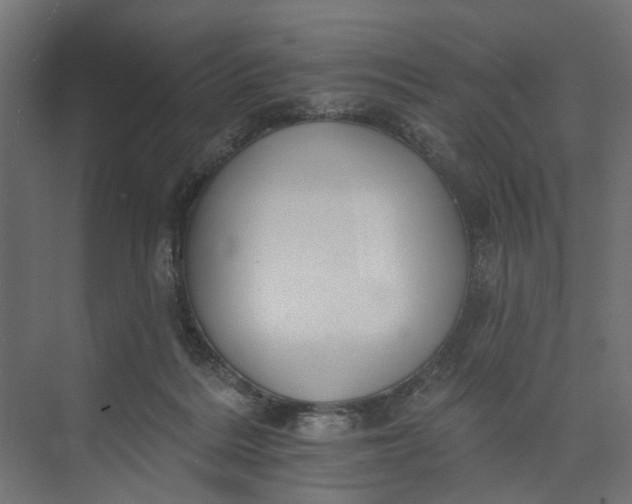 X0000073950220200609051801