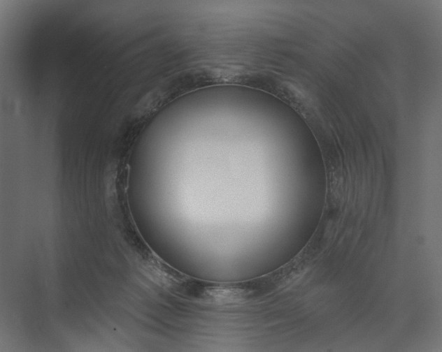 X0000073950221200609051801