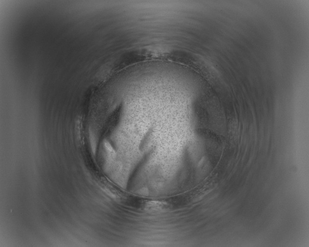 X0000073950222200609051801