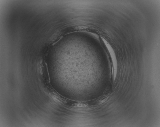 X0000073950223200609051801