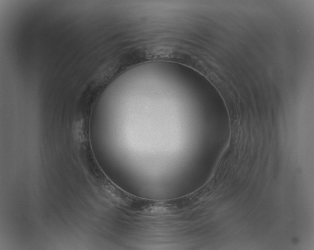 X0000073950224200609051801