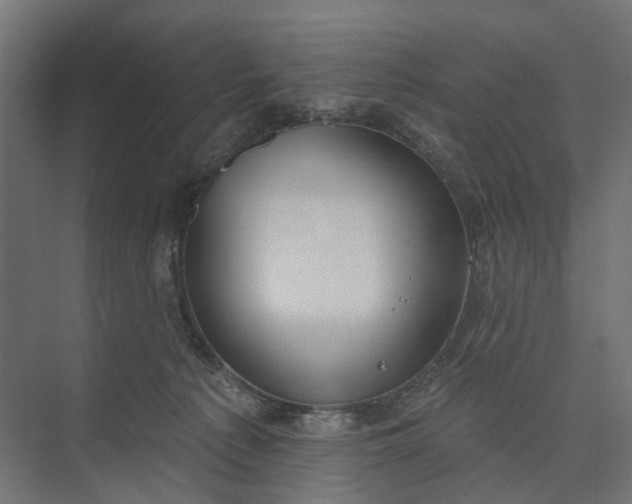 X0000073950225200609051801