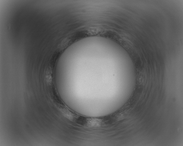 X0000073950226200609051801