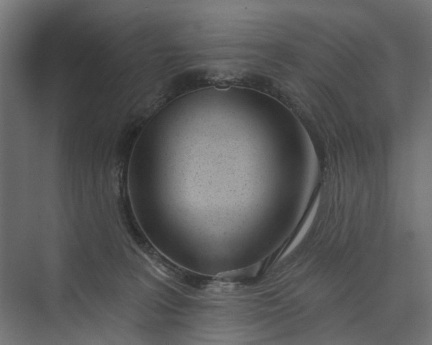 X0000073950227200609051801