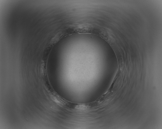 X0000073950231200609051801