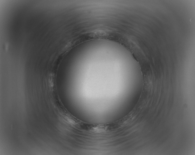 X0000073950232200609051801