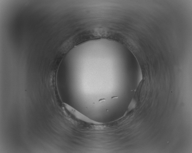 X0000073950233200609051801