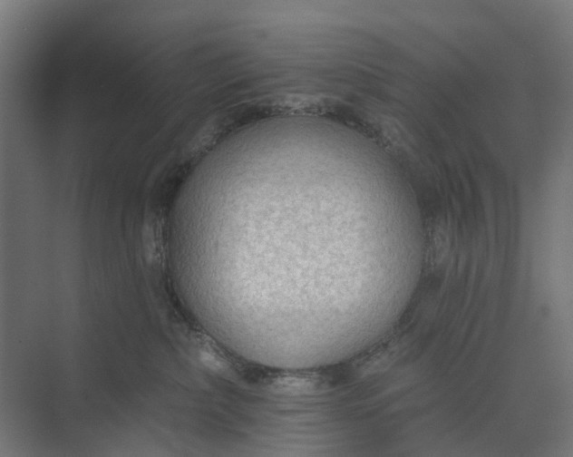 X0000073950236200609051801