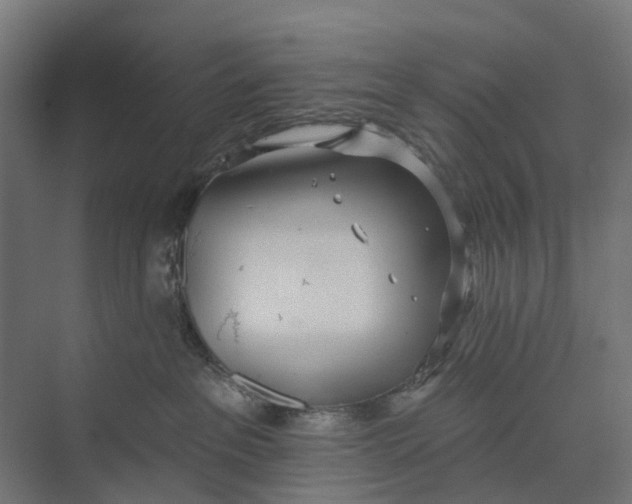 X0000073950237200609051801