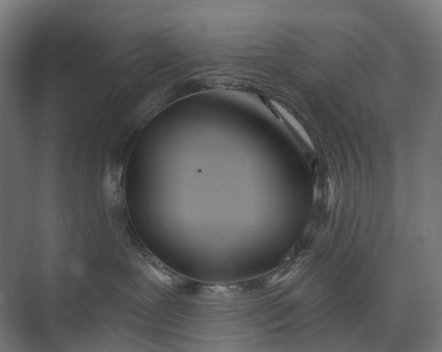 X0000073950239200609051801