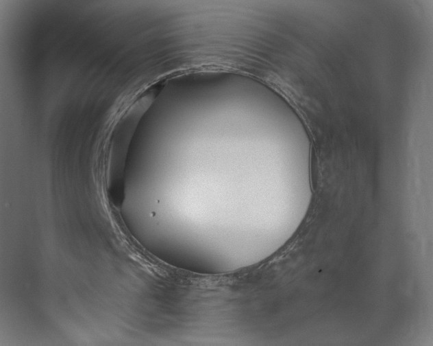 X0000073950241200609051800