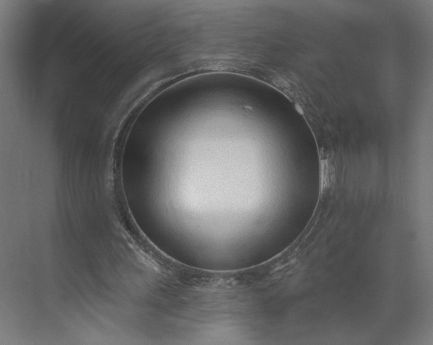 X0000073950243200609051800